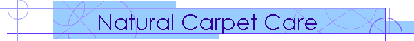 Natural Carpet Care